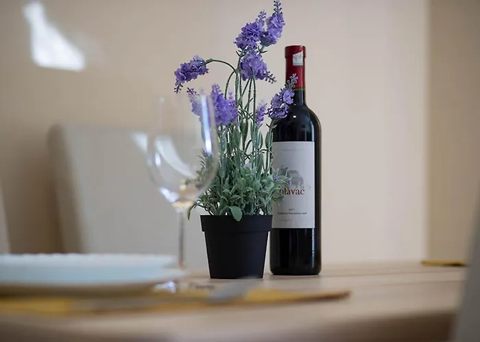 Apartment Martin Srima